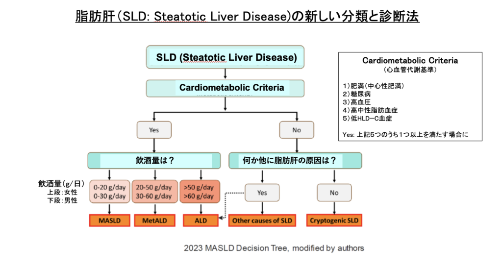 脂肪肝（SLD: Steatotic Liver Disease)の新しい分類と診断法
